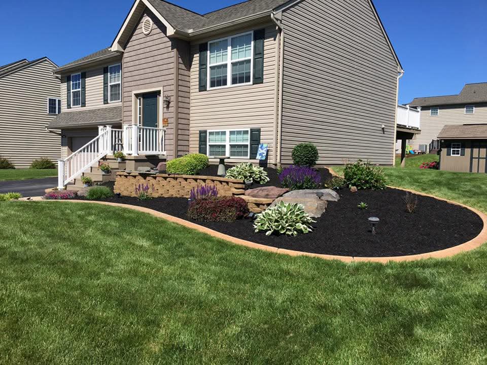 whatsapp image 2025 12 26 at 9.11.57 pm